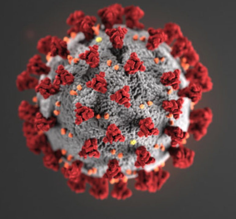 The Covid-19 Corona Virus. 
